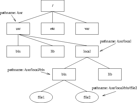 \includegraphics[]{pathnames.eps}